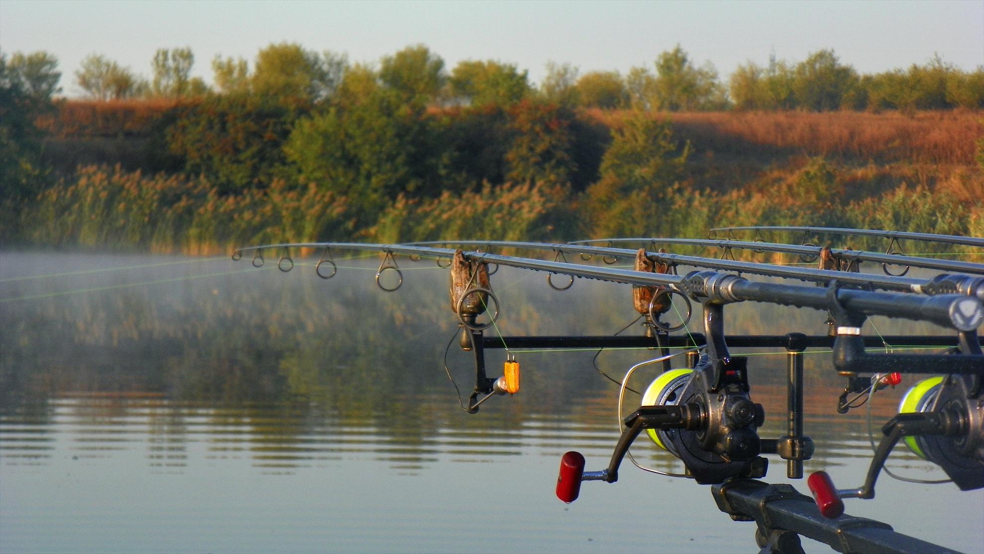 Boiliesmania - 2011 - 1000068.JPG